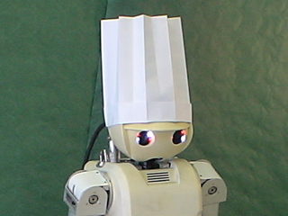 Cook Robot
